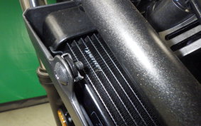 HONDA REBEL 250 A 2009 MC49