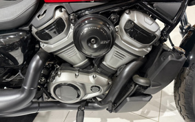 HARLEY RH975 NIGHT STAR 2022 ZH1