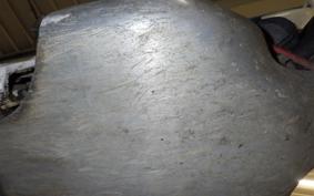 HONDA TLM200R 2021 MD15