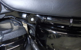 HARLEY FXLRS1920 2024