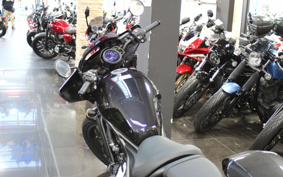HONDA REBEL 1100 T DCT 2023 SC83