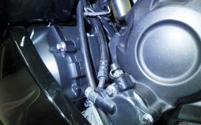 KAWASAKI ZX 1400 NINJA R A 2017