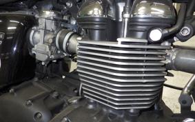 TRIUMPH BONNEVILLE T100 2013