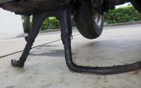 HONDA DIO ZX GEN 2 AF35