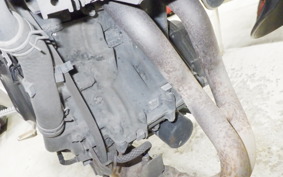 KAWASAKI Z250 Gen.2 2021 EX250P