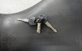 YAMAHA YZF-R25 2024 RG10J