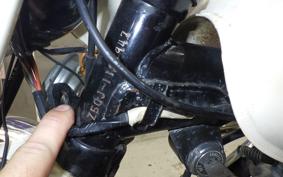 HONDA MONKEY 2022 Z50J