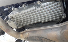 KAWASAKI NINJA 250 EX250L