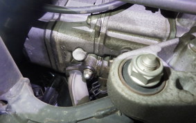 HONDA LEAD 110 2025 JF19