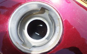 OTHER +UNREGISTERED MODEL by BDS125