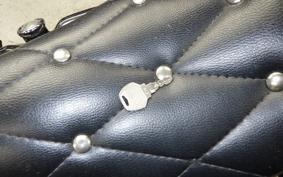 HARLEY XLH883 HUGGER 2013