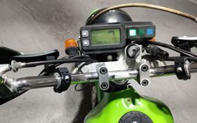 KAWASAKI SUPER SHERPA KL250G