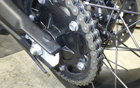 TRIUMPH TIGER 900 RALLY PRO 2024