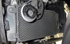 SUZUKI Vｽﾄﾛｰﾑ250A 2025