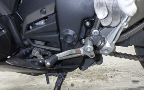 KAWASAKI Z250 2019 ER250C