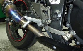 KAWASAKI NINJA 250 ABS EX250L