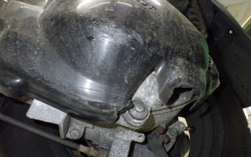 HONDA FORESIGHT EX MF04