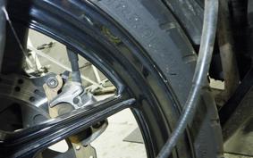 KAWASAKI NINJA 250R 2023 EX250K