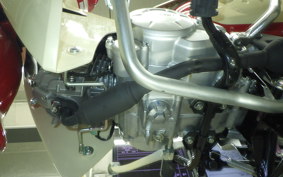 HONDA C50 SUPER CUB 2022 AA09