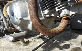 HONDA MONKEY 1999 Z50J