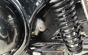 KAWASAKI W175 BJ250L