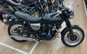 KAWASAKI W800 STREET 2019 EJ800B