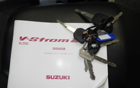 SUZUKI V-STROM 250 1996