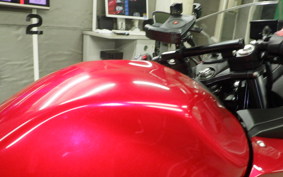 SUZUKI GSX250 R 2001