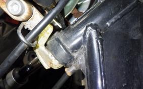 KAWASAKI ELIMINATOR 125 2024 BN125A