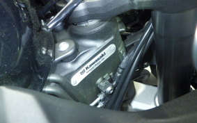 KAWASAKI NINJA 1000SX 2024 ZXT02K