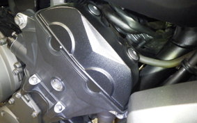 TRIUMPH TRIDENT 660 2021