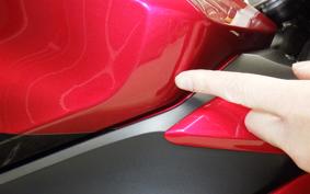 TRIUMPH DAYTONA 660 2025