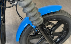 HARLEY FXBBS 2022 YYK
