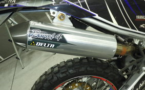 YAMAHA WR250R 2019 DG15J