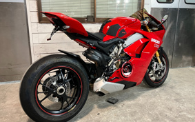DUCATI PANIGA-REV4S 2019 DA00J