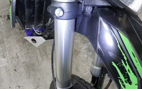 KAWASAKI KLX250D TRACKER X 2024 LX250V