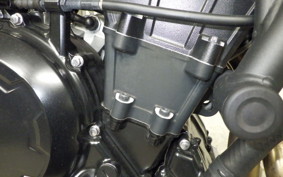 KAWASAKI Z650 RS 2024 ER650R