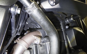 TRIUMPH STREET TRIPLE R 2019