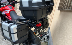 TRIUMPH TIGER 900GTARAGON 2023 TRE64D