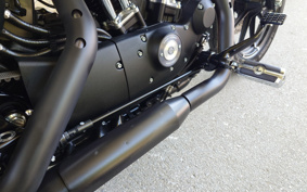 HARLEY XL883N 2017 LE2