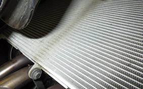 KAWASAKI NINJA 1000 SX 2025 ZXT02K