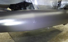 OTHER +HD. XL883L 2006