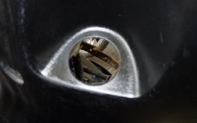 SUZUKI ADDRESS V125 CF46A