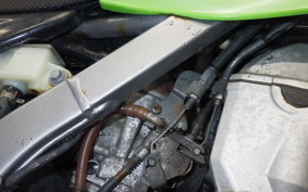 KAWASAKI KLX250 2025 LX250E