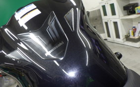KAWASAKI Z250 Gen.2 2026 EX250Y