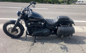 HARLEY FXBB 2018 YJJ