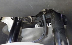 KAWASAKI ZX-4R SE 2025 ZX400P