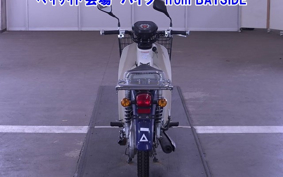 OTHER C110PU LOW 3