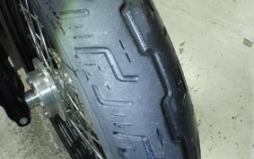 HARLEY FXBB1750 2019