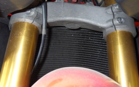DUCATI 1098 S 2007